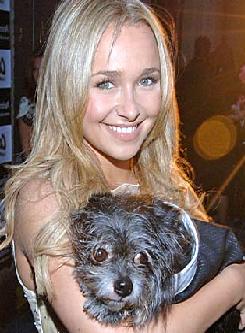 Hayden Panettiere Described Her Ideal Man