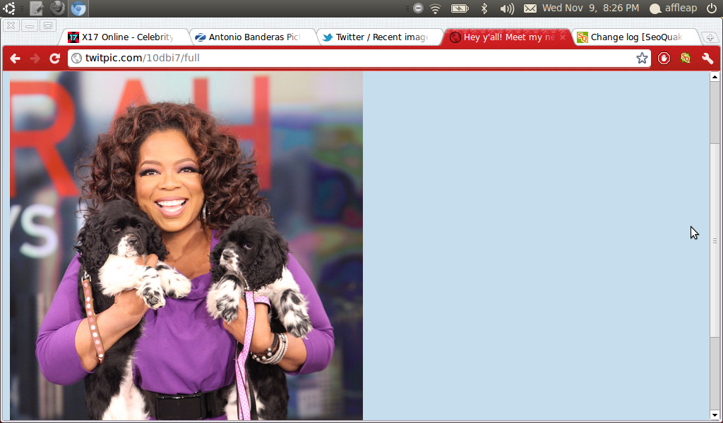Oprah Winfrey's Favorite Things List Is Included In "O, The Oprah