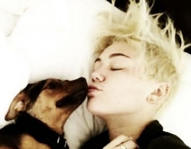 miley cyrus dog, miley cyrus liam, miley cyrus kiss, miley cyrus twitter,