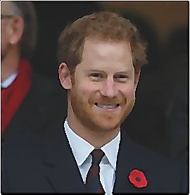 prince harry book release